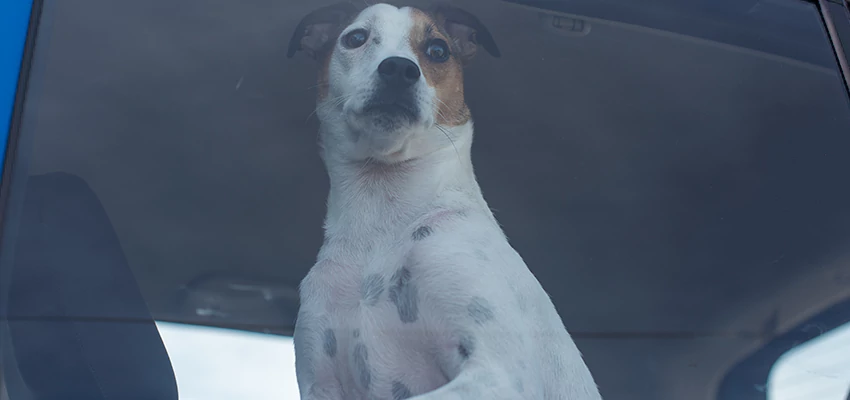 Car Lockout Solutions in Piedmont, California